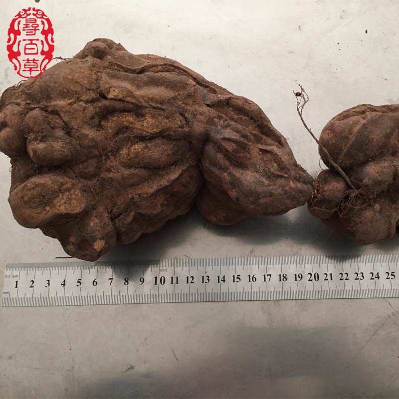 寻百草中药材何首乌新鲜特级野生赤首乌生首乌泡酒泡茶1斤500g