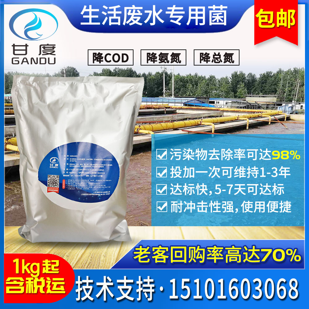 污水处理生活生物菌剂脱氮挂膜曝气活性净水硝化硝化细菌