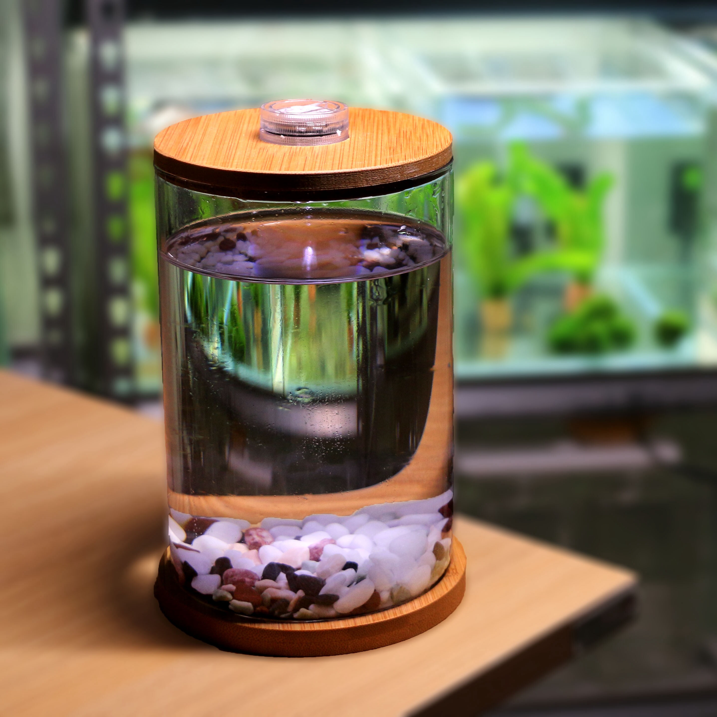斗鱼缸迷你小型玻璃鱼缸桌面微景观赏办公室水族箱生态瓶鱼缸 包邮
