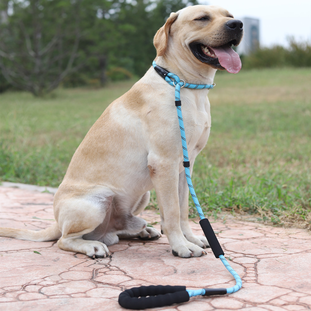 绳狗狗狗宠物一体牵引防爆中大型金毛秋田恶霸家用牵引带