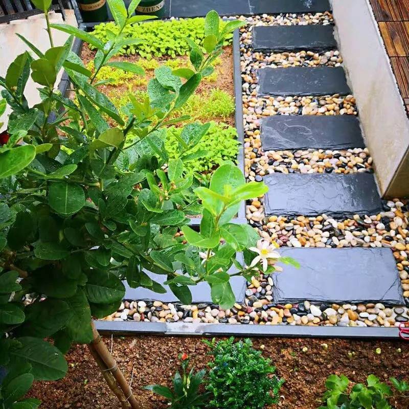 50斤鹅卵石雨花石原石鹅软暖石铺路铺地其它园艺用品