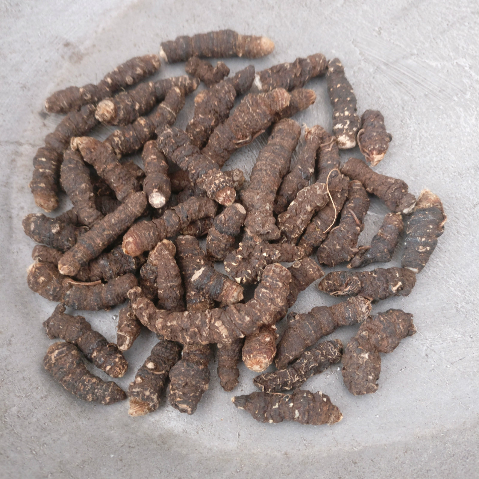 地乌中药材蜈蚣三七金串珠串珠二轮新货无硫500克其他药食同源食品