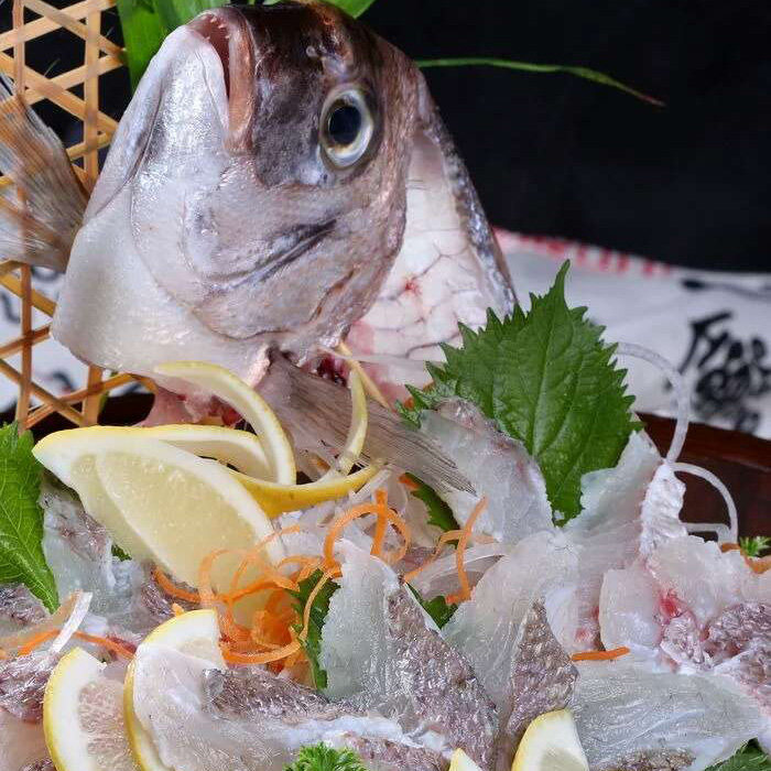 鲜活油红新鲜红鱼黄狮鱼生海鱼刺平均412斤条整条金枪鱼