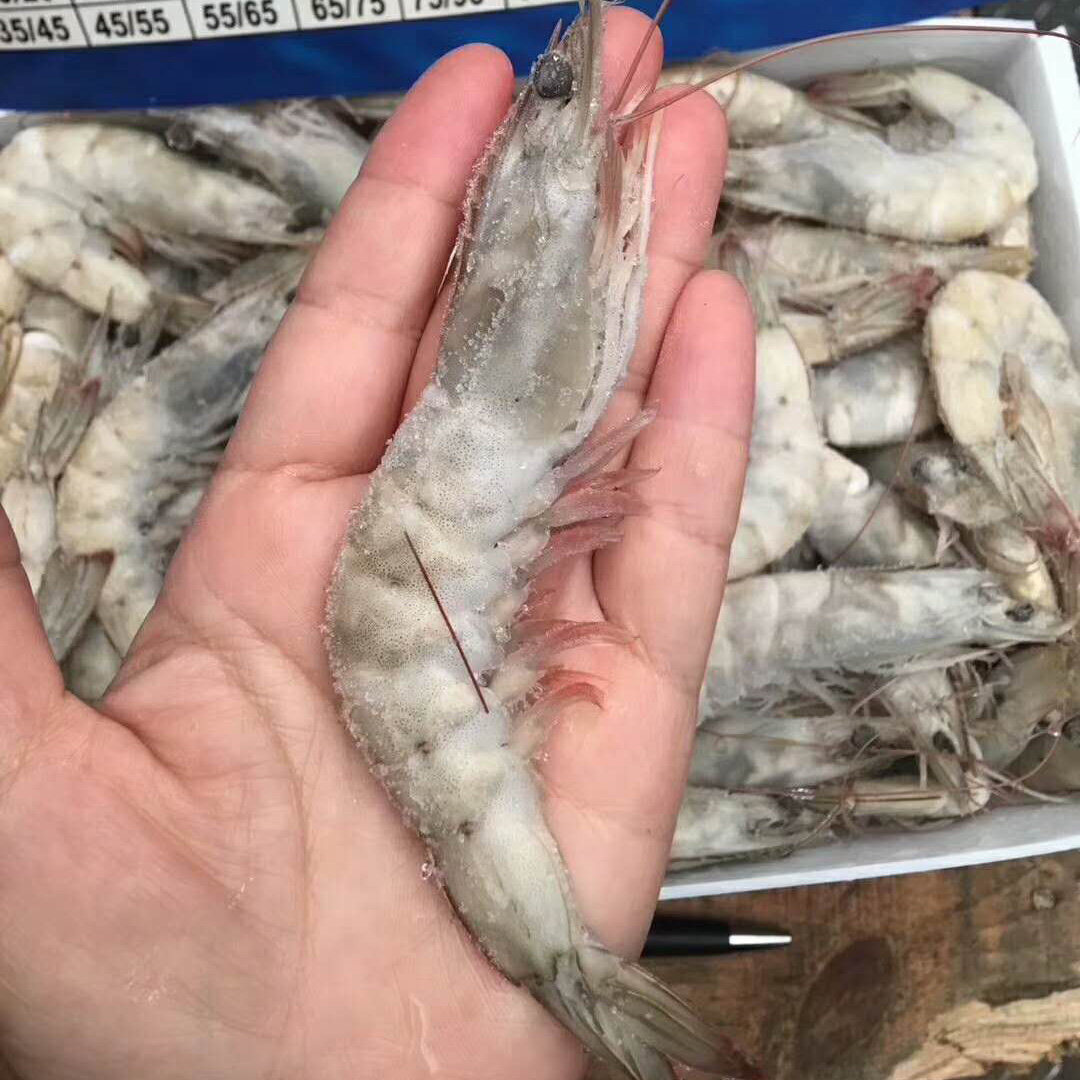 厄瓜多尔老船长白南美美白对虾大虾2kg一盒30-40冻虾