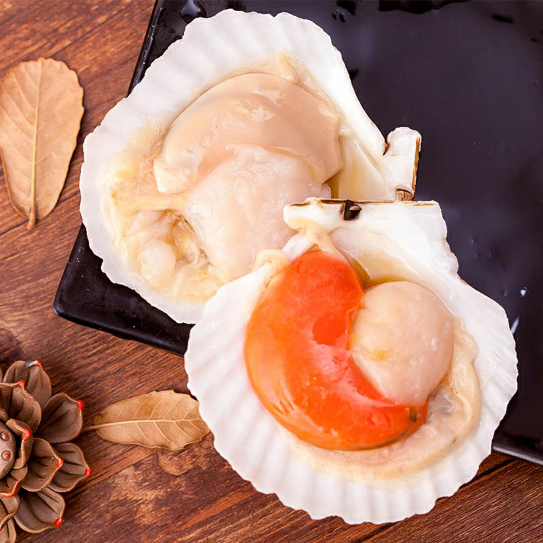 新鲜半壳大扇贝蒜蓉粉丝獐子岛虾夷烧烤鲜活冷冻单个扇贝肉 7只装