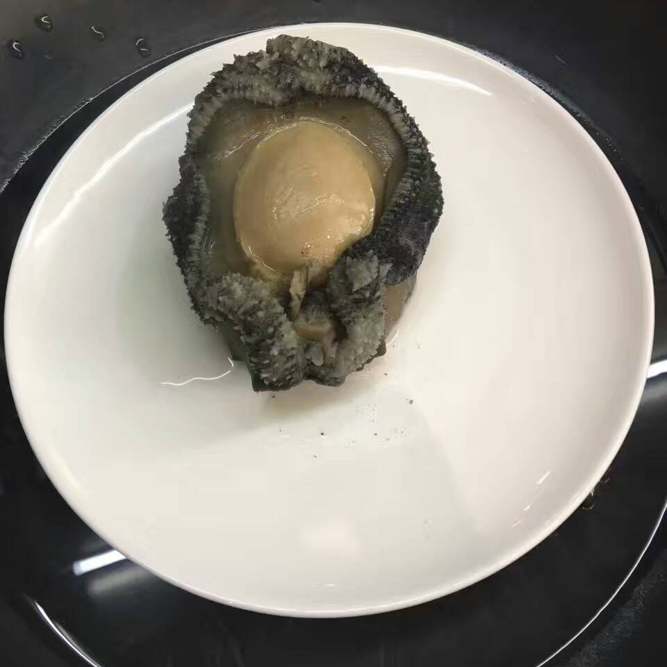 鲍鱼黑金鲜活新西兰进口超大鱼刺海鲜1斤包邮鲍鱼