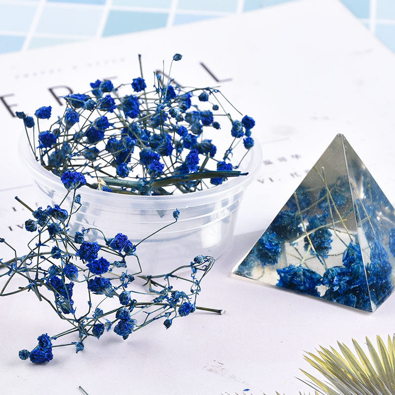 怡芙滴胶干花满天星 水晶滴胶干花滴胶ab胶模具带枝花朵 多规格