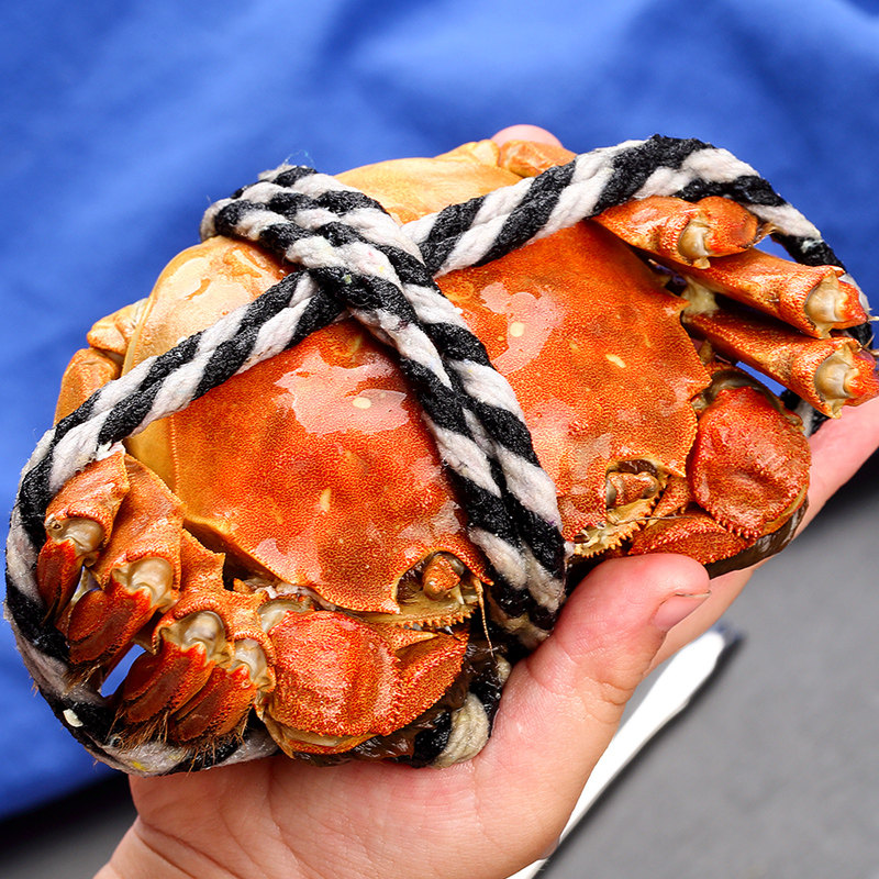 兴化大闸蟹现货鲜活特大超大红膏蟹大螃蟹活体全公母礼盒顺丰包邮