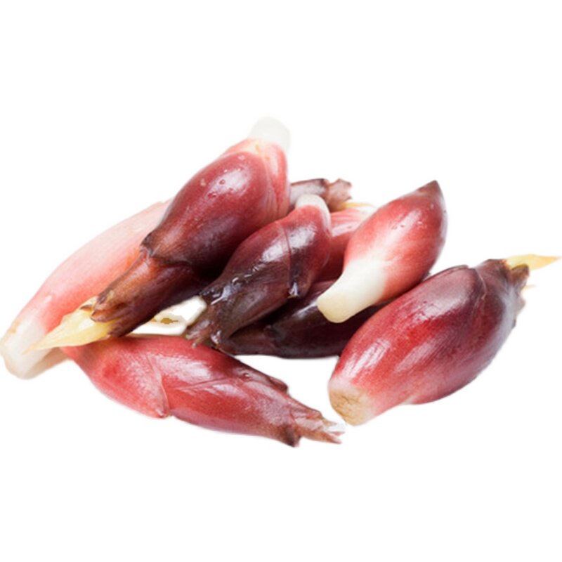 现挖野菜笋野蔬菜2斤姜笋洋荷新鲜贵州当季其它