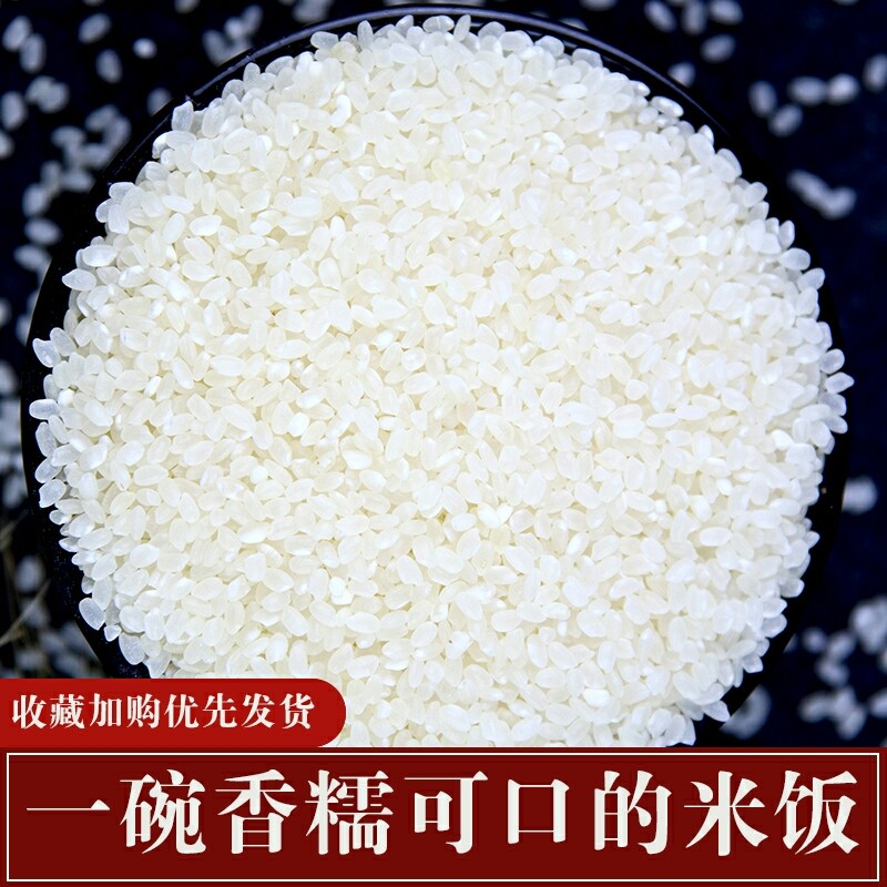 2021年农场公斤新米蟹田50斤粳米射阳新大米盐城大米
