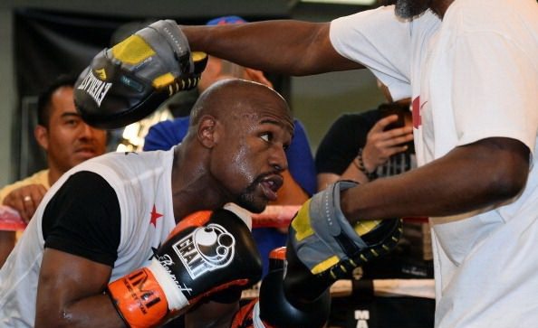 everlast evergel punch mitts拳击泰拳凝胶手靶拳靶梅威瑟训练款