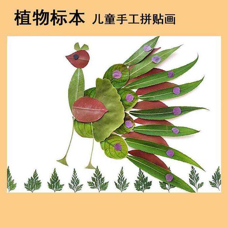 画意包学生创作立体学生材料植物制作标本树叶手工创意粘贴类