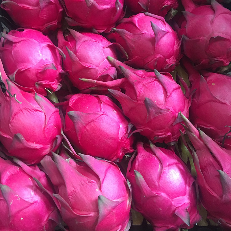 海南红心火龙果中果5斤新鲜水果包邮广西金都一号蜜宝红肉火龙果