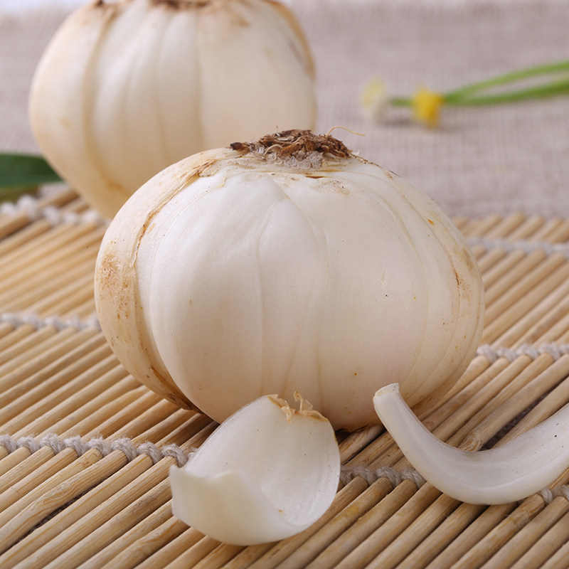 芙苑兰州农产品鲜百合黑土地六年精品四头皇百合西果园厂家直销