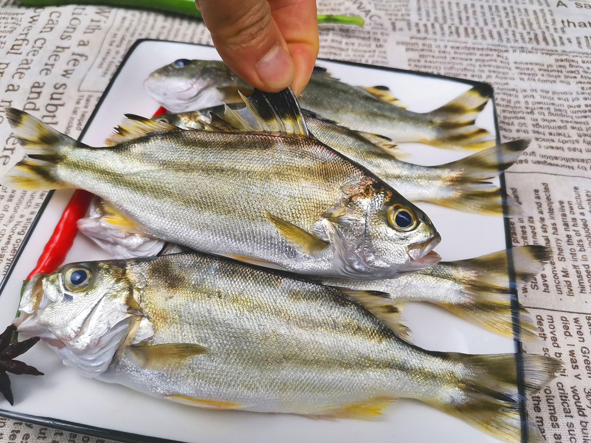湛江海鲜新鲜沙古头天然甘草草鱼茂公鱼深海鱼黄鱼