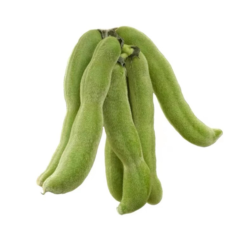 广西新鲜狗儿豆应当季农家现摘龙爪豆毛豆猫儿豆老虎豆蔬菜1/5斤-mc