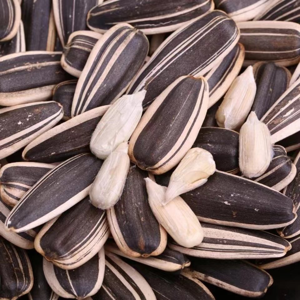 眼镜小猫原味瓜子150gx5东北特产葵花籽孕妇零食瓜子