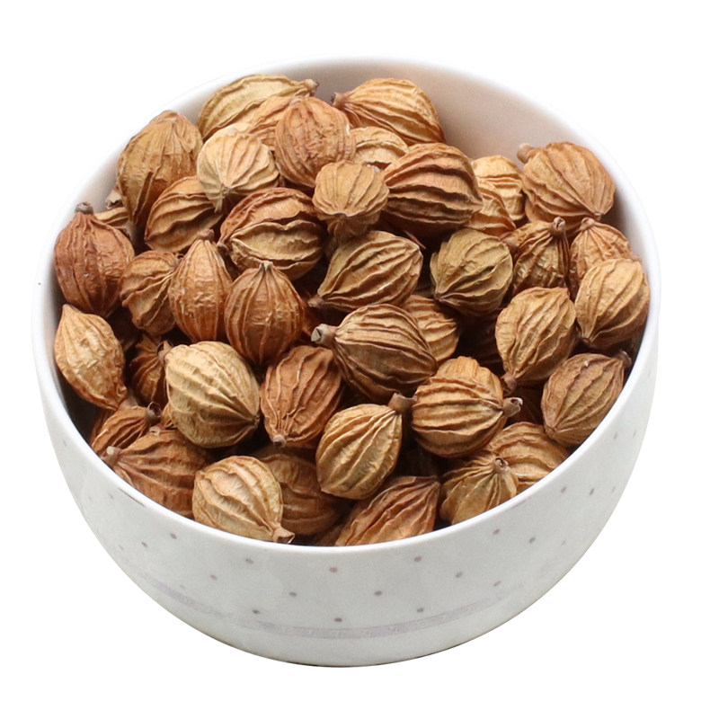 砂仁500g香砂沙仁金砂仁优质四川特产炖肉卤菜其他药食同源食品