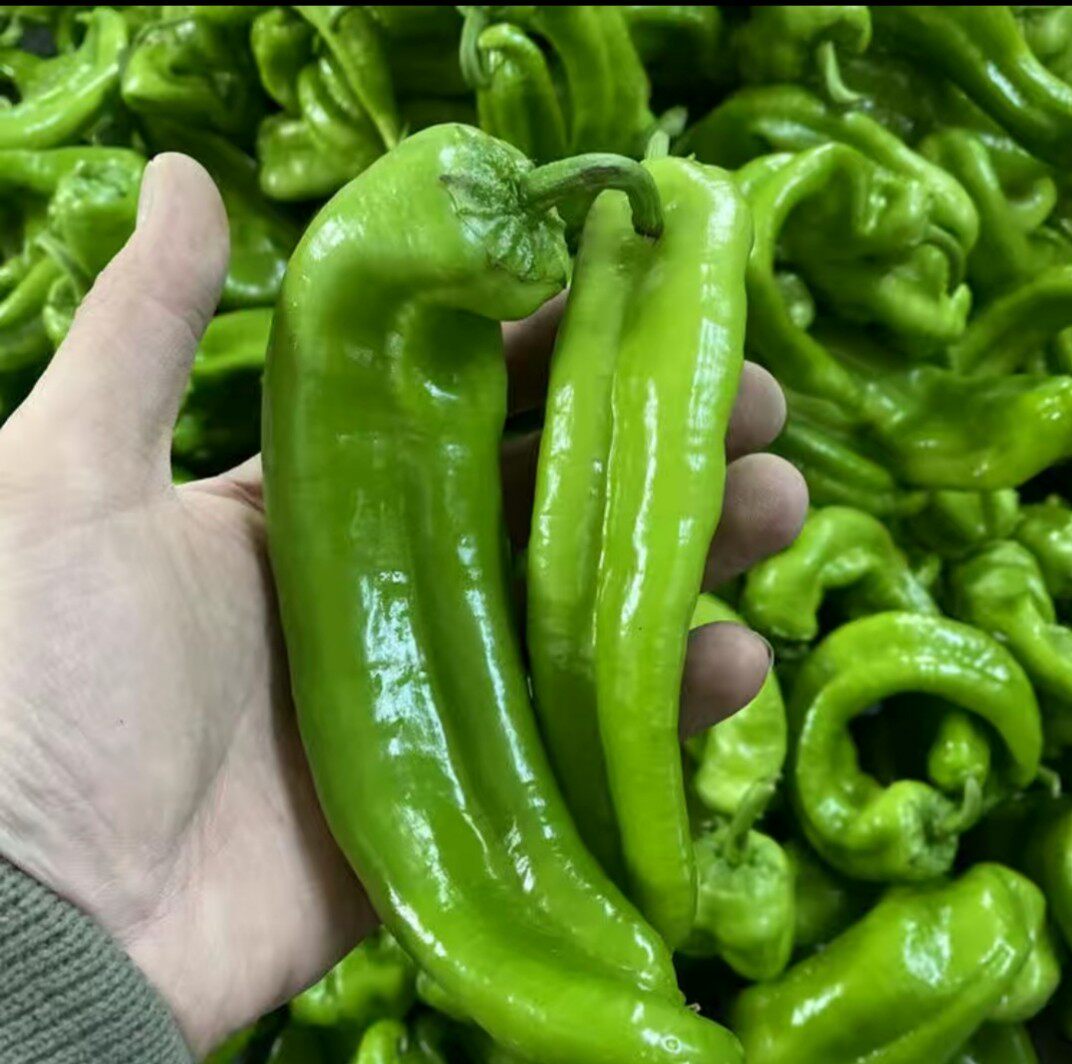 辣椒山东新鲜青椒农家自种羊角蔬菜包邮小尖椒辣椒