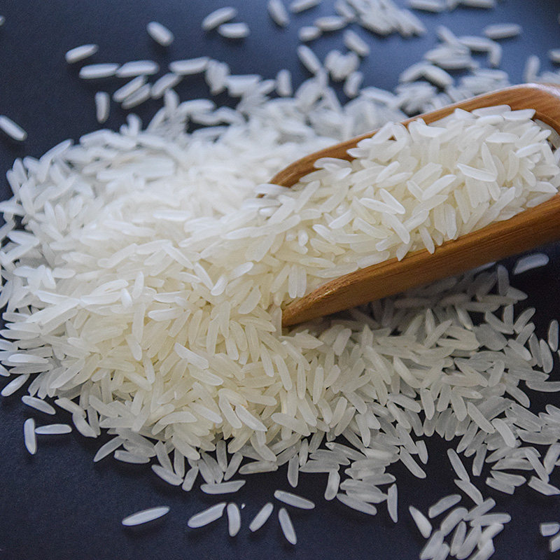 新米香米5kg农家家米长粒米大米丝苗米新鲜10斤大米