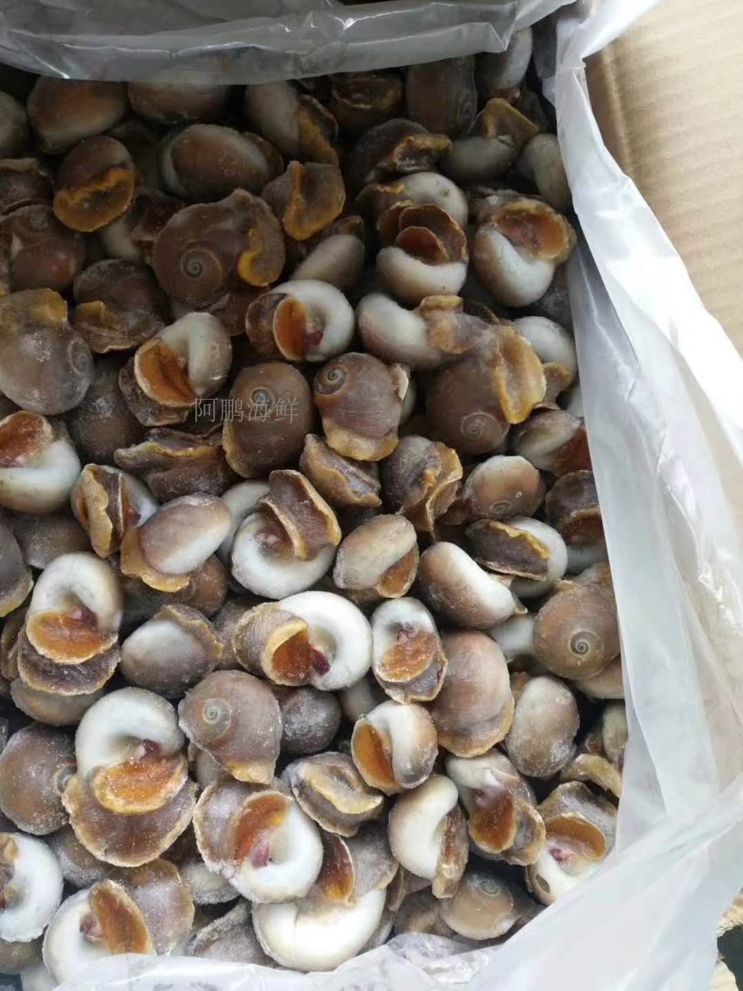 冷冻大香甜螺红香相思螺玉肚脐海鲜1箱20斤贝类制品
