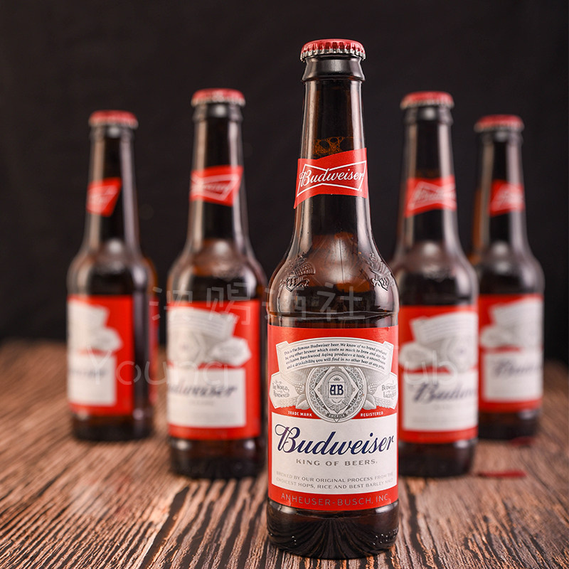 黄啤酒300ml拧盖budweiser啤酒整箱英国德威布德威百威啤酒