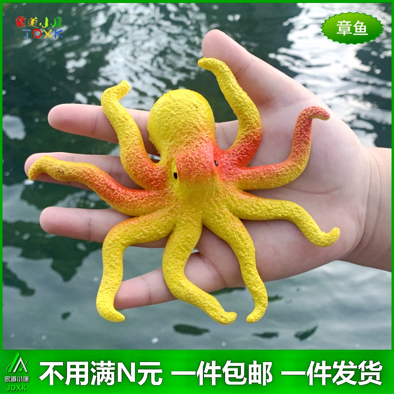 仿真章鱼八爪鱼幼儿园软胶儿童玩具早教益智认知彩色海洋鱼类模型