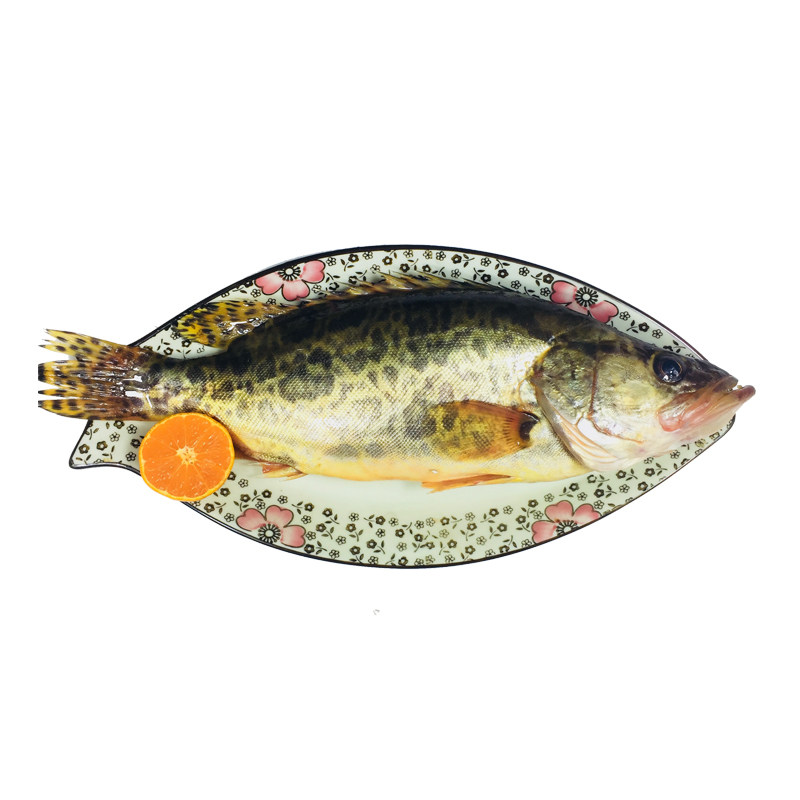 鳜鱼现杀鲜活湖北特产生态大小桂花桂鱼季花淡水鱼类