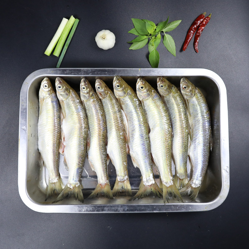 子鱼小白白条新鲜餐条鱼蓝刀丹江口鲜活淡水小河淡水鱼类