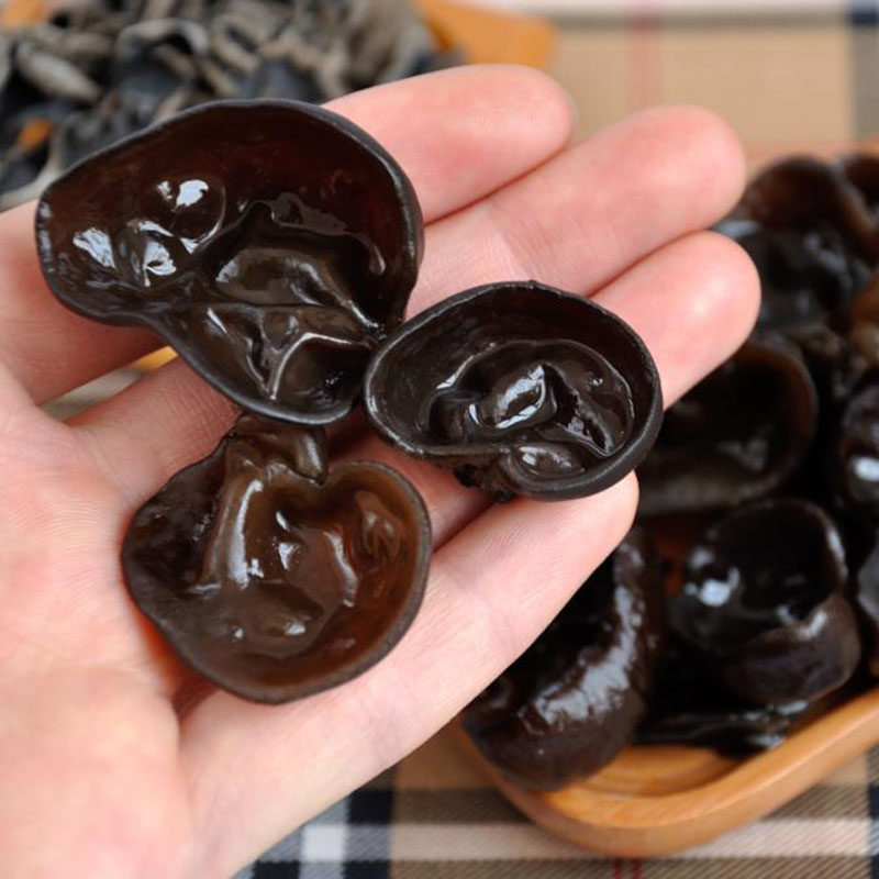 木耳正宗东北特产小木小朵黑木耳小碗野生菌菇黑木耳