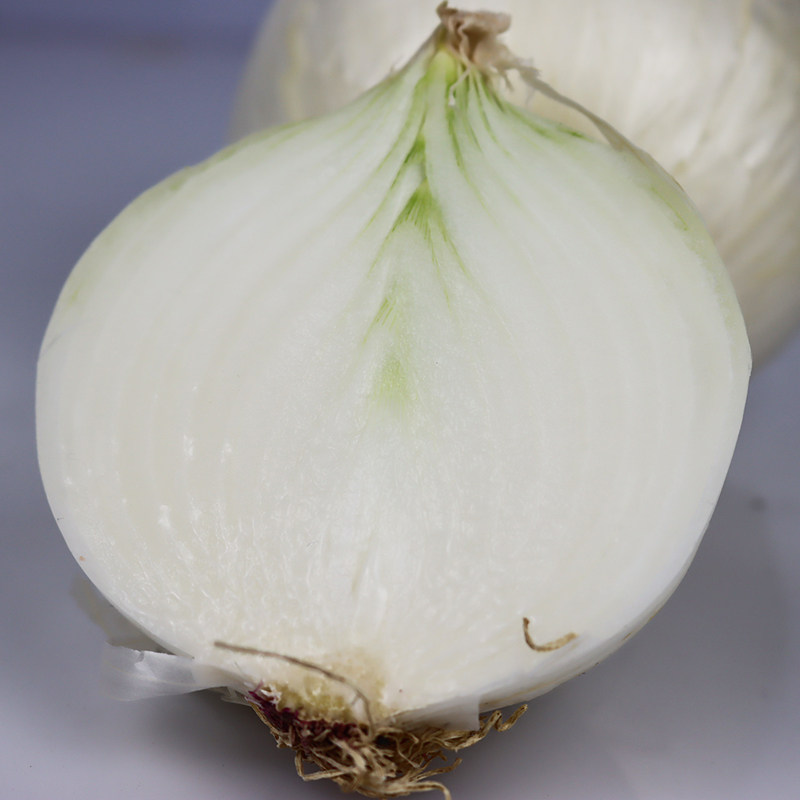 新疆皮牙子白洋葱新鲜圆葱蔬菜葱头生鲜皮辣葱类