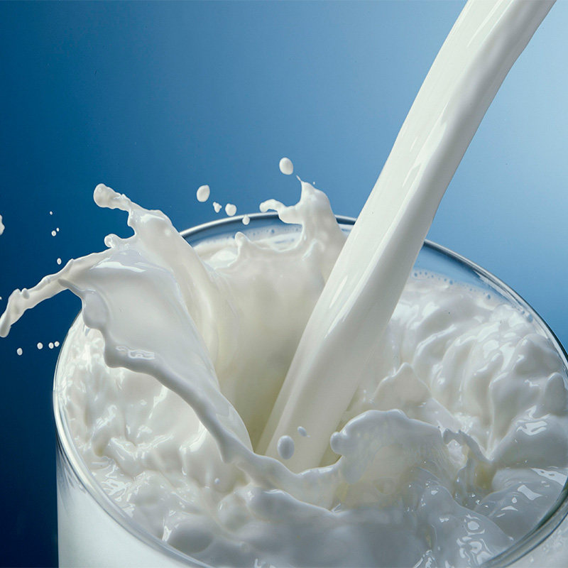 俄罗斯原装进口奶牛奶粉低脂无糖冲饮成人青少年850克纯牛奶