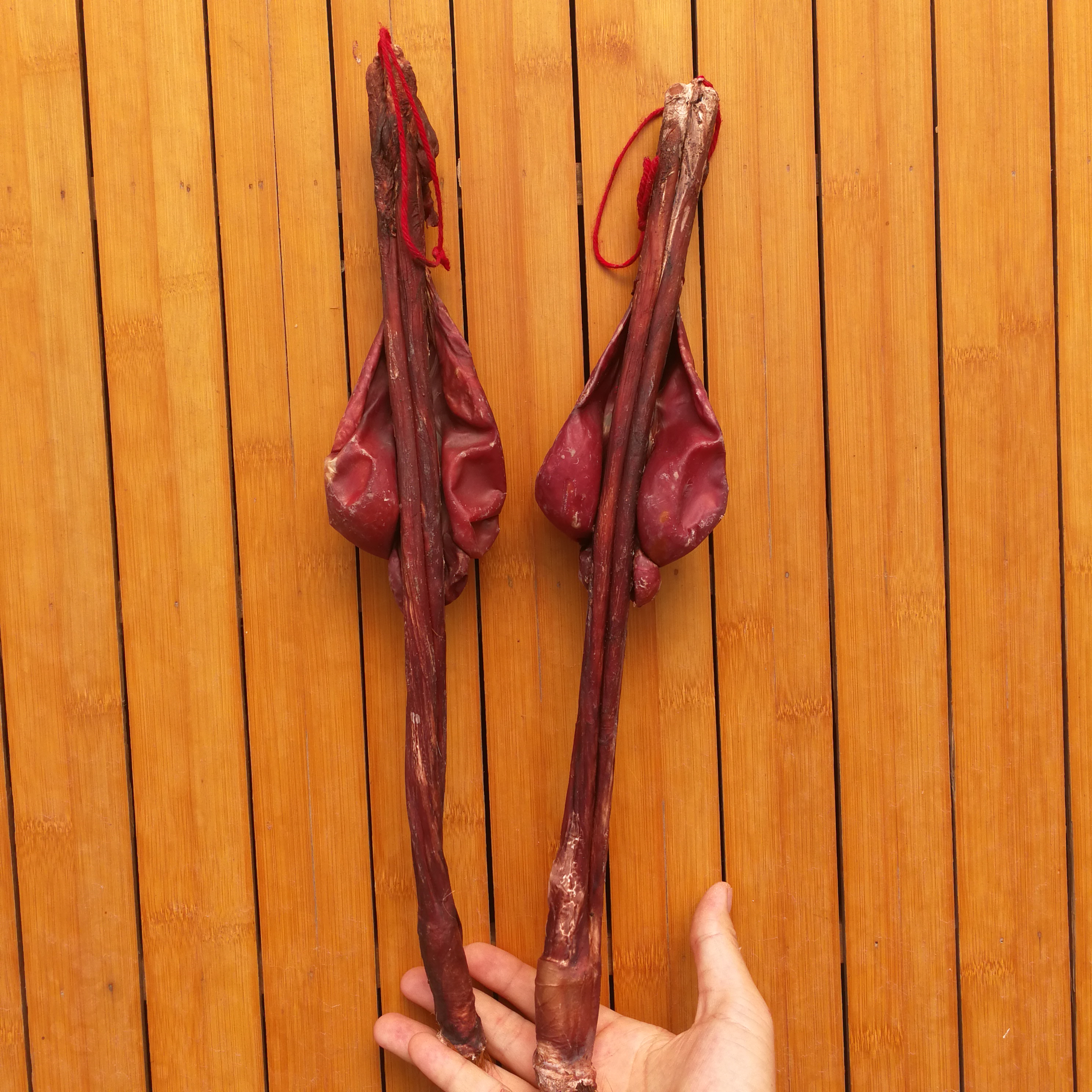 牛鞭干牛鞭整支带蛋大黄黄牛男女养生滋补泡酒传统滋补品其他