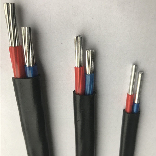 国标2芯铝线4 6 10 16 25 35平方双股铝芯电线架空户外电缆护套线