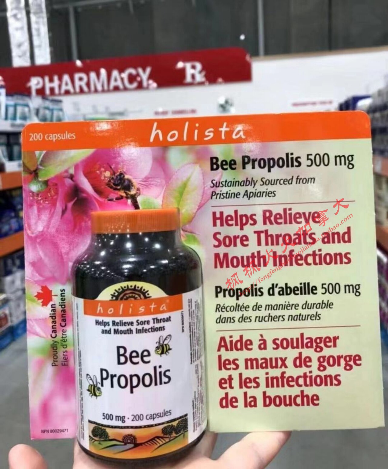 加拿大代购holista天然黑蜂蜂胶软胶囊200粒其他膳食营养补充剂