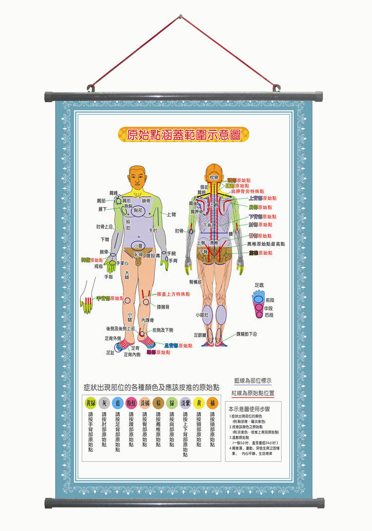 原始点医学挂图海报各部位位置及其涵盖范围印刷急救手法中药