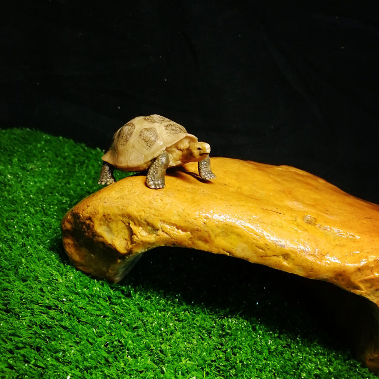 天然真石头乌龟晒台爬台爬宠洞穴晒背台鱼虾躲避造景