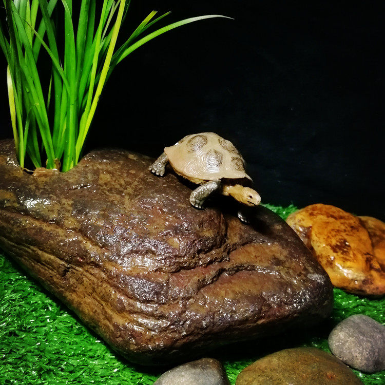 真石真石头头带绿植晒台爬台乌龟晒背石沉底水族箱造景