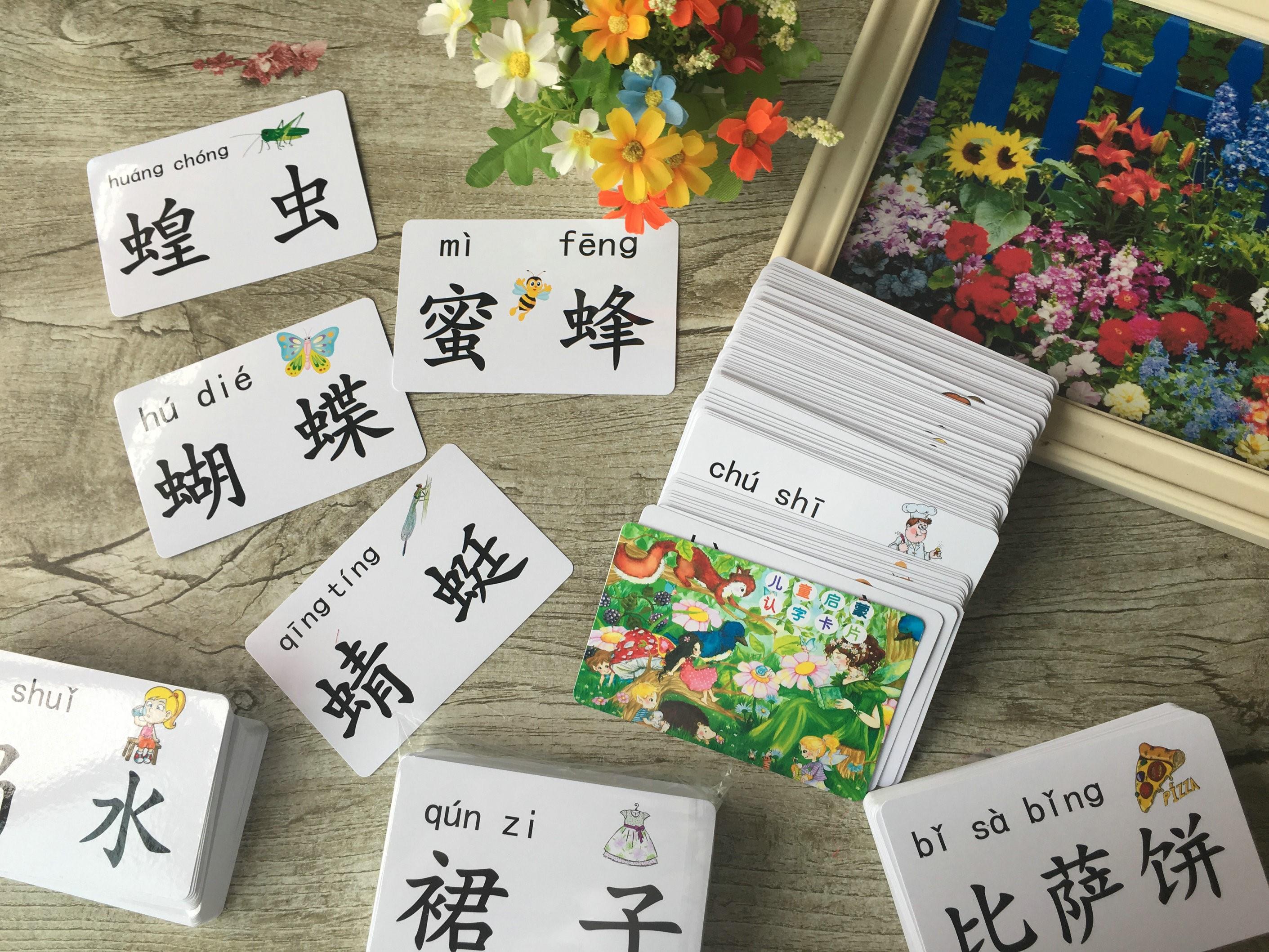 儿童汉字带图识字幼儿词汇卡片拼音认字卡带玩具挂图