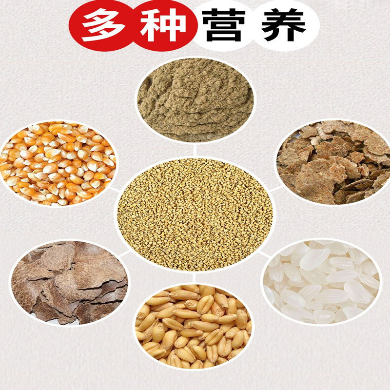 正大小鸡饲料颗粒雏鸡开口料鹦鹉八哥小鸭鹅鸭鸟食元宝鸡通用饲料