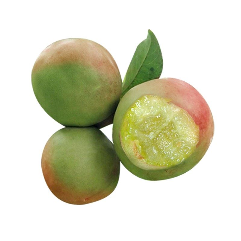 甘肃敦煌特产李广桃大青皮桃子3斤5斤现摘桃