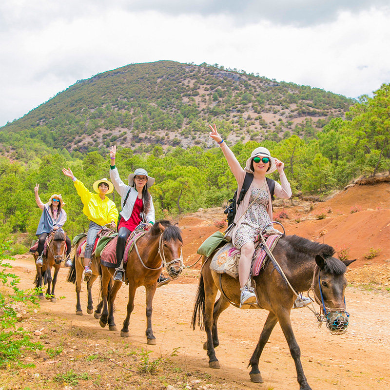 拉市海纯玩一日游茶马古道骑马云南丽江旅游一日游纯玩不进店