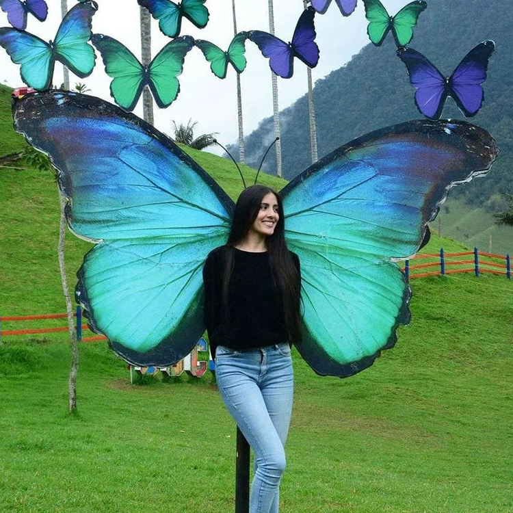 网红打卡翅膀天使之翼户外景区拍照蝴蝶道具悬挂翅膀