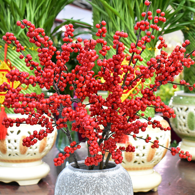 冬青进口北美鲜花红豆富贵圣诞办公室客厅喜庆花卉