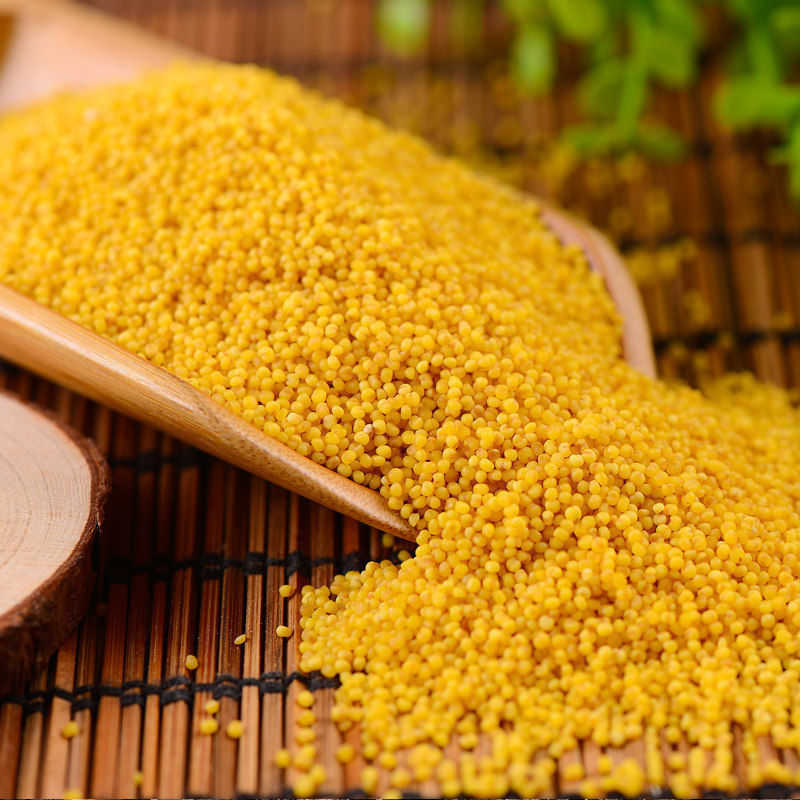 河北特产黄金苗金苗k1小米5斤吸嘴袋包装防潮小米