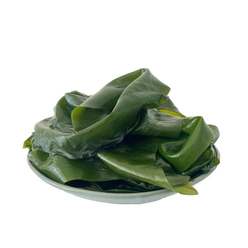 新货海带荣成薄嫩藻类昆布生态盐渍边凉拌菜海带