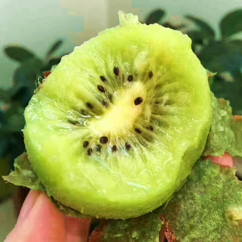 陕西眉县徐香猕猴桃5斤装包新鲜水果孕妇奇异果奇异果