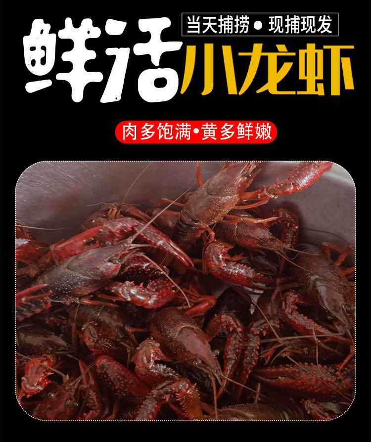 盱眙江苏清水小龙虾鲜活3斤装洪泽湖2345钱活体青虾红头虾水产