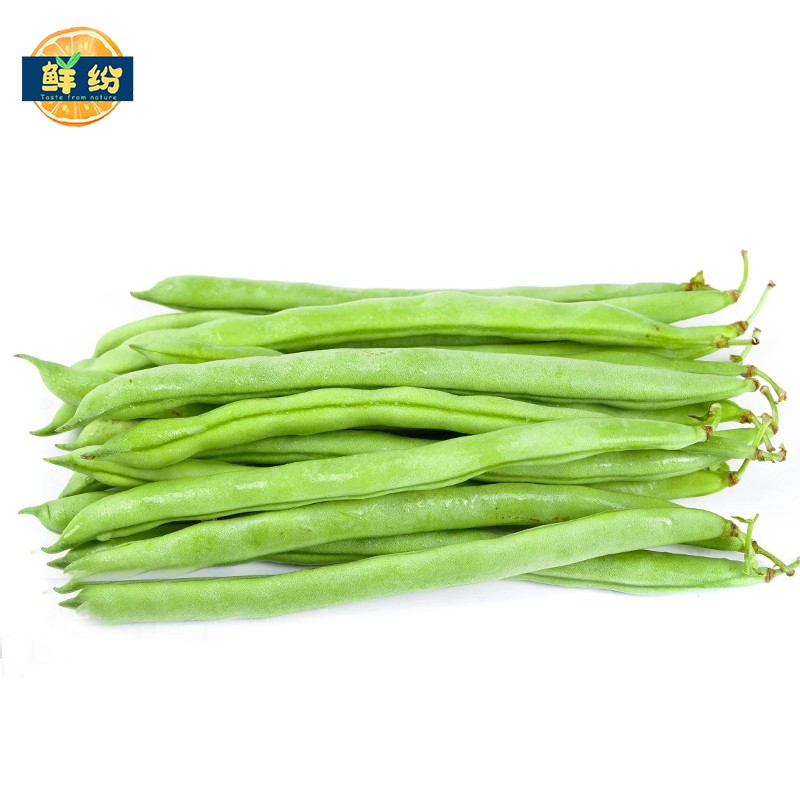 新鲜广东四季豆现摘现发无丝无筋豆角芸豆当季新鲜豆类