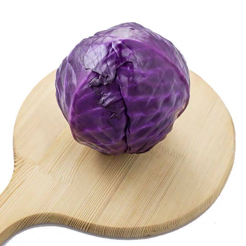 生菜甘蓝1000g装紫包菜球新鲜西餐蔬菜沙拉食材其它
